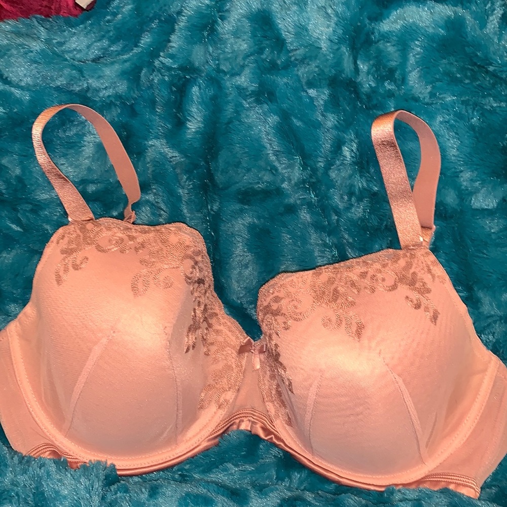 Pink Bra